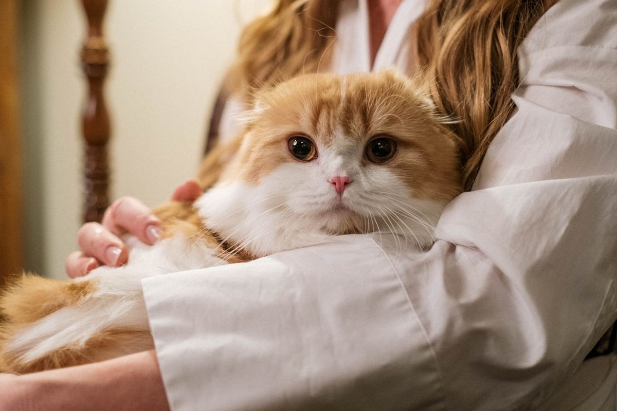 inspirasi nama hewan